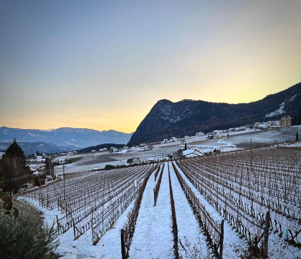 Apartamento Strahlerhof Appiano Sulla Strada Del Vino Exterior foto