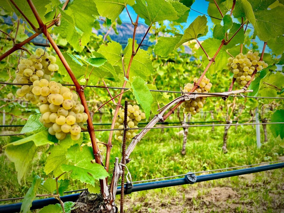 Apartamento Strahlerhof Appiano Sulla Strada Del Vino Exterior foto
