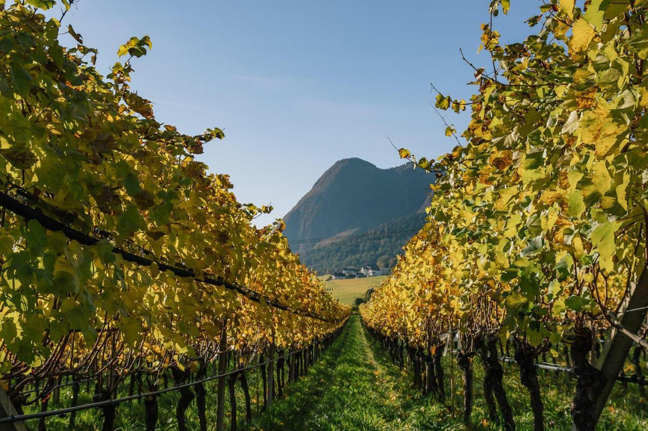 Apartamento Strahlerhof Appiano Sulla Strada Del Vino Exterior foto