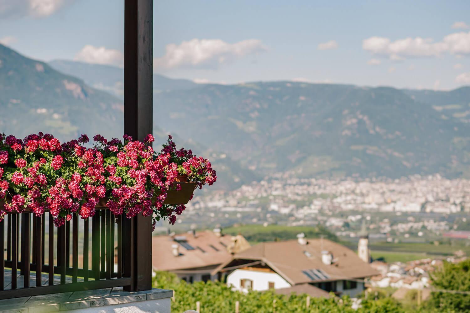 Apartamento Strahlerhof Appiano Sulla Strada Del Vino Exterior foto