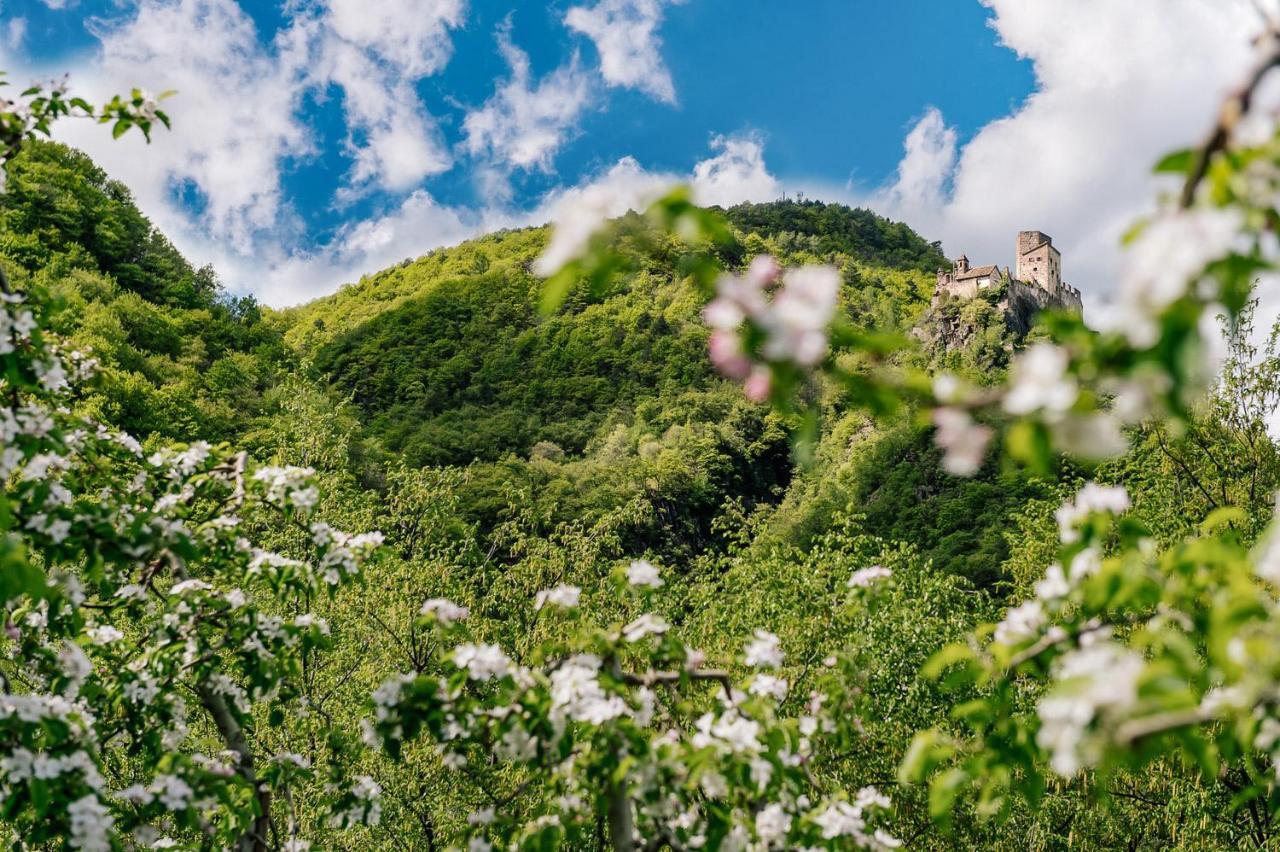 Apartamento Strahlerhof Appiano Sulla Strada Del Vino Exterior foto